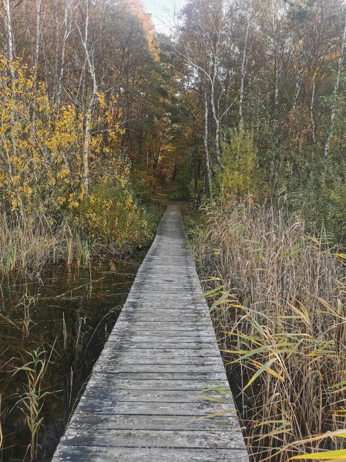 Perle An Der Polnischen Ostsee Perlino Kültér fotó
